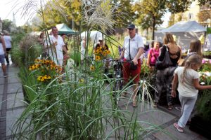 Dni Europejskiej Kultury Ludowej 2019 (30 sierpnia – 1 września 2019), fot. Zbigniew Burda