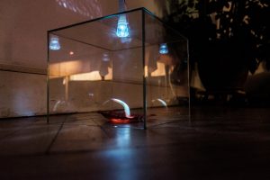 Jednodniowe Muzeum Miłości im Haliny Poświatowskiej fot Jędrzej Stasikowski