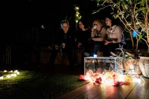 Jednodniowe Muzeum Miłości im Haliny Poświatowskiej fot Jędrzej Stasikowski