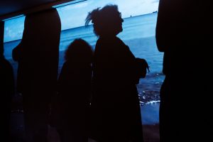 Jednodniowe Muzeum Miłości im Haliny Poświatowskiej fot Jędrzej Stasikowski