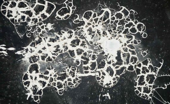 Autodidactis MMXX Wystawa zbiorowa Ośrodek Promocji Kultury