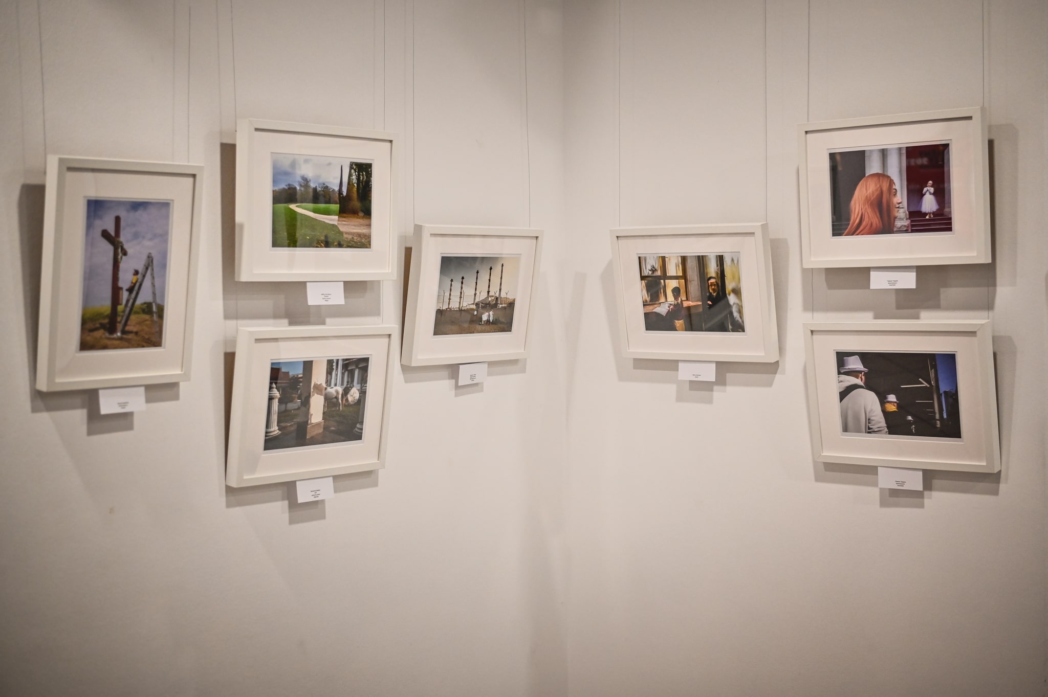 zbiór fotografii oprawionych w ramy zawieszonych na ścianie w galerii sztuki