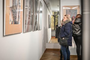 kobieta oglądająca obrazy w galerii sztuki