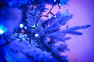 Classic Tea grudzień 2023